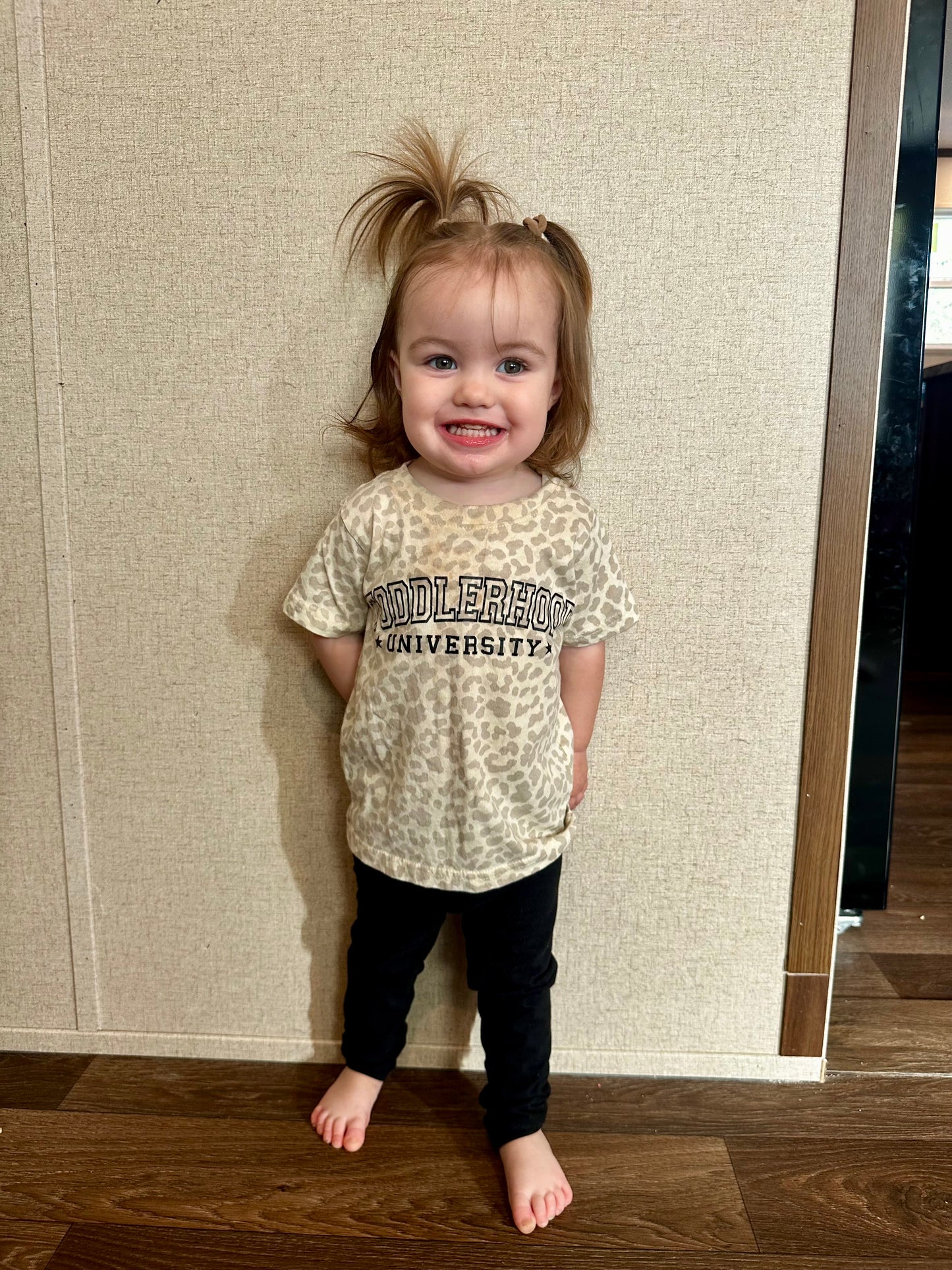Toddler university