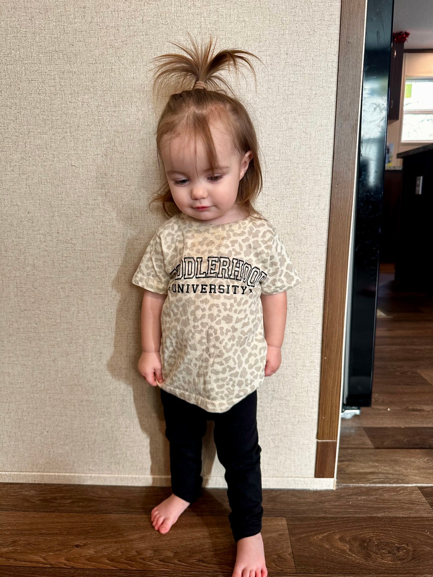 Toddler university